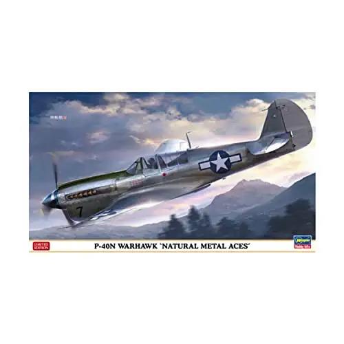 1/48 P-40n Warhawk Natural Metal Aces (HA07516)