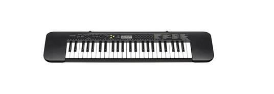 Tastiera Standard 49 Tasti Casio Ctk-240