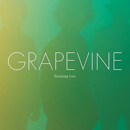Burning Tree - CD Audio di Grapevine