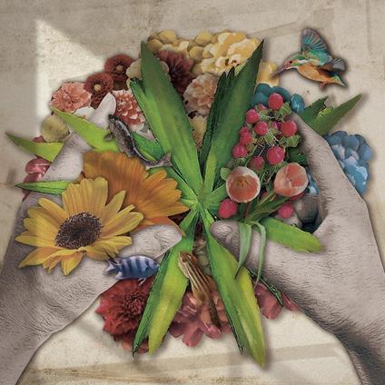 Biotop - CD Audio di Jizue