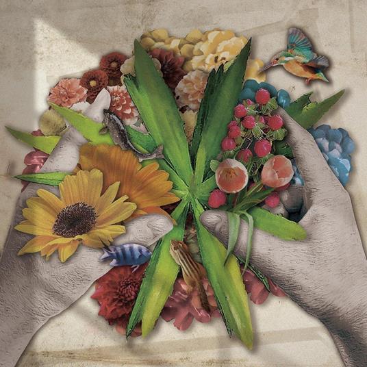 Biotop - CD Audio di Jizue