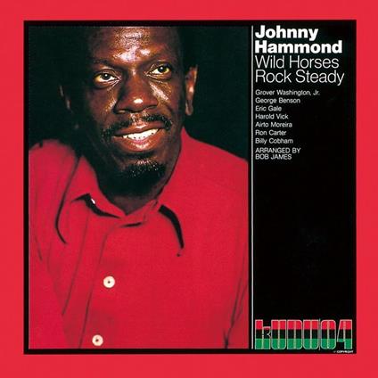 Wild Horses Rock Steady - CD Audio di Johnny Hammond