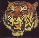Tiger (Japanese Limited Remastered)