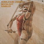 Bubblegum Crisis 5 Moonlight Rambler