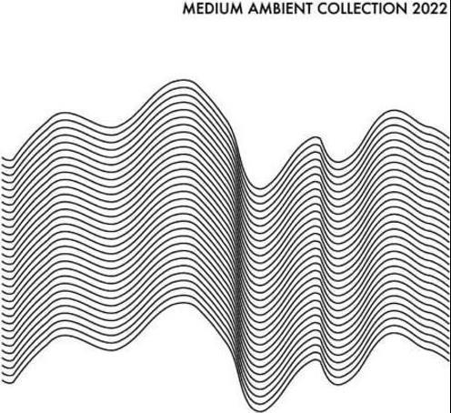 Medium Ambient Collection 2022 - Vinile LP