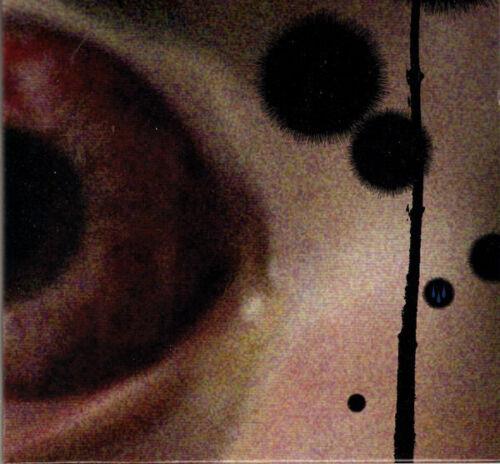 Holy Tears (Japanese Edition) - CD Audio di Isis