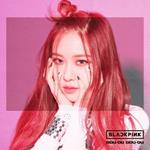 Ddu Du Ddu Du. Rose Version (Japanese Edition)