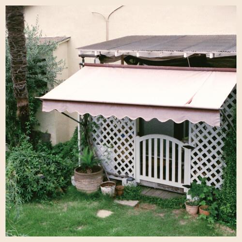 Gusokumuzu - Youki Na Kyuujitsu - Vinile LP