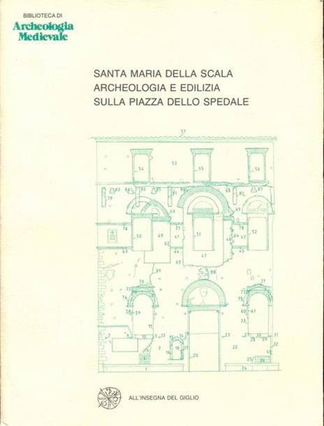 Santa Maria della Scala. archeologiae edilizia sulla piazza dello Spedale - 8