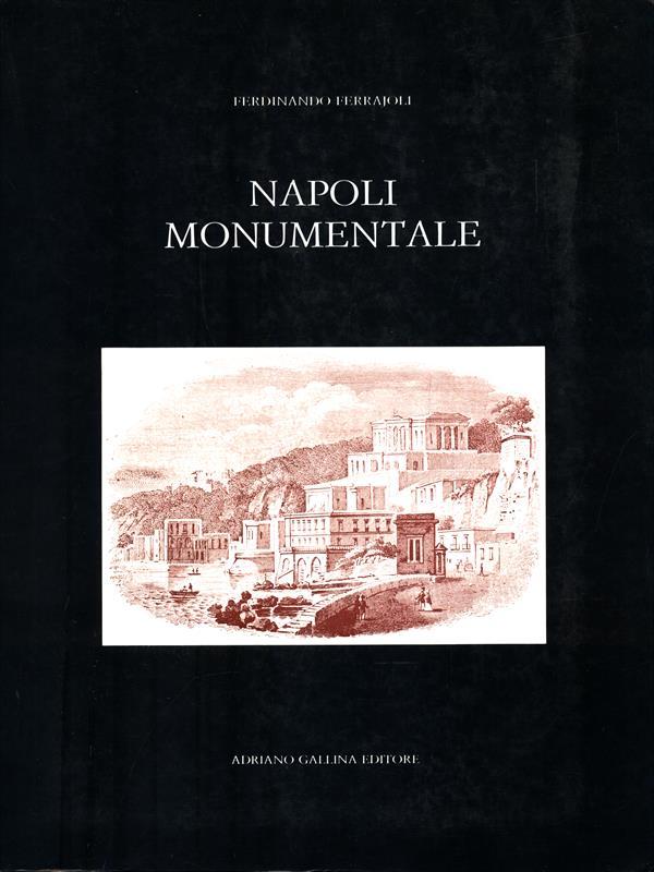 Napoli monumentale