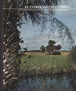 Le Everglades in Florida