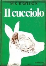 Il cucciolo