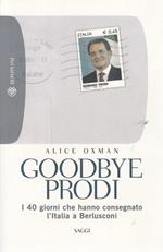 Goodbye Prodi. I 40 giorni che hanno consegnato l'Italia a Berlusconi