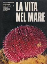 La vita nel mare