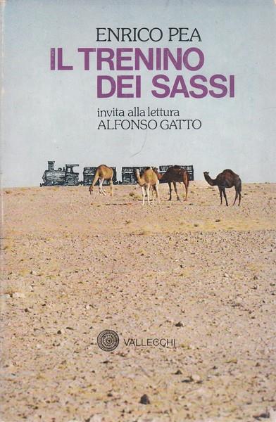 Il treno dei sassi