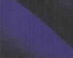 Diego Esposito. Blue outside. Ediz. italiana e inglese
