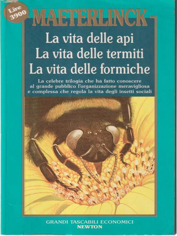 F.E.N. Libreria