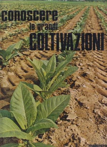 Conoscere le grandi coltivazioni - copertina