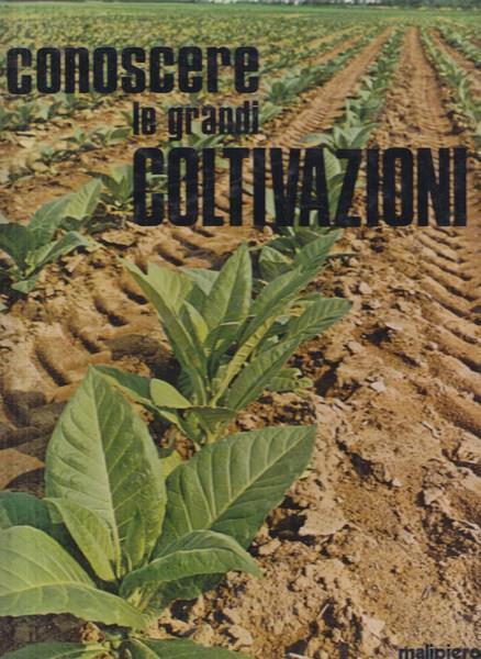 Conoscere le grandi coltivazioni - copertina