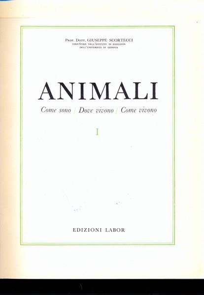 Animali