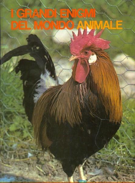 I grandi enigmi del mondo animale: gli animali domestici 3 - Yves Verbeek - copertina