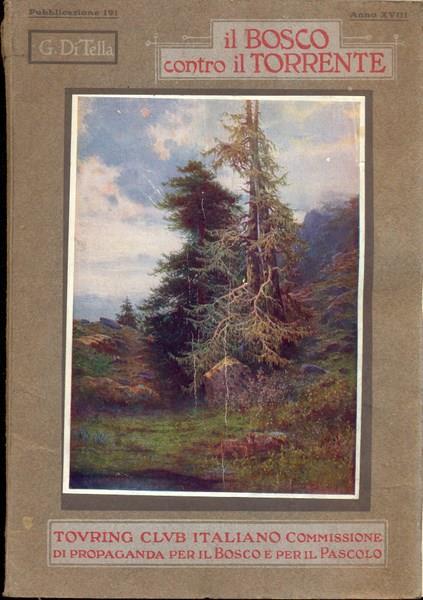 Il bosco contro il torrente - copertina