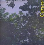 Salvo Caruso