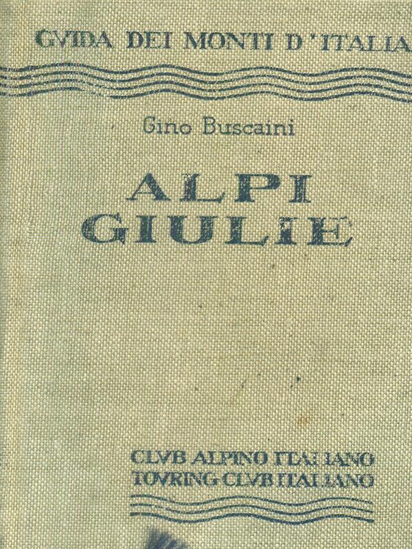 Aspetti del romanzo