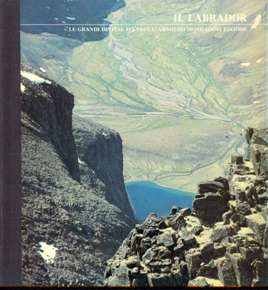 Il Labrador - Robert Stewart - copertina