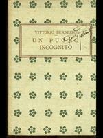 Un pugno incognito