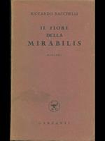 Il fiore della Mirabilis