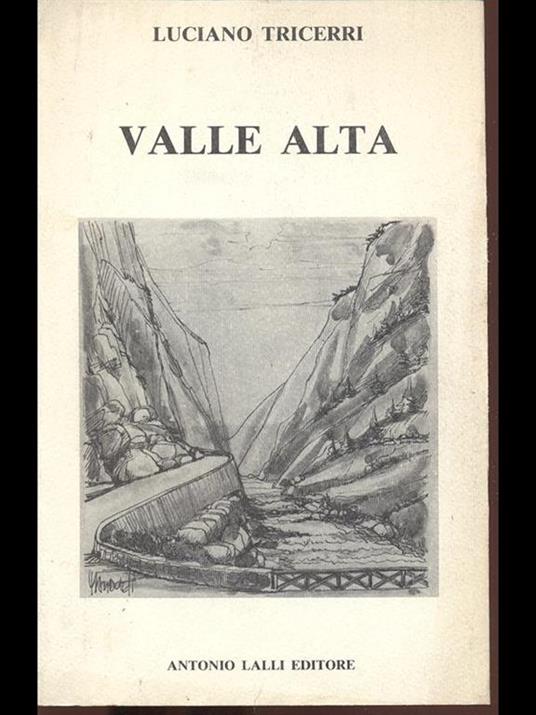 Valle Alta - Luciano Tricerri - copertina