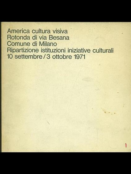 America cultura visiva - copertina