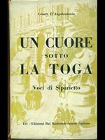 Un cuore sotto la toga