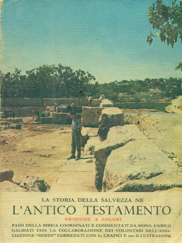 La storia della salvezza ne L' Antico Testamento