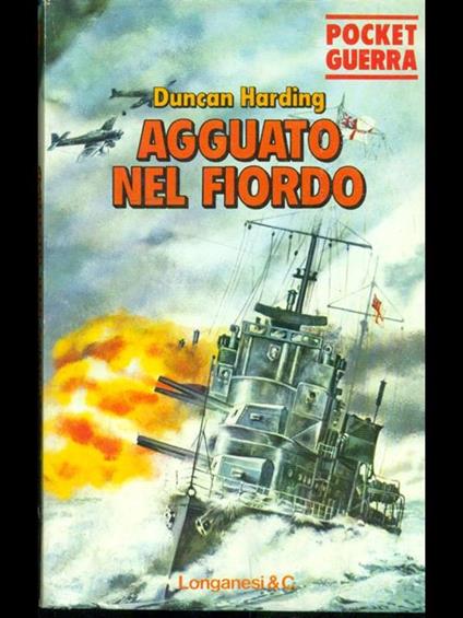 Agguato nel fiordo - copertina