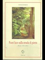 Punti luce sulla strada di pietra