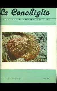 La conchiglia. 1972 - 2