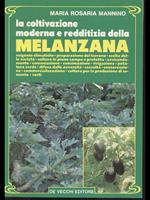 La coltivazione moderna e redditizia della Melanzana
