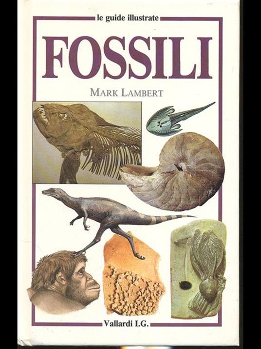 Fossili - Mark Lambert - 6