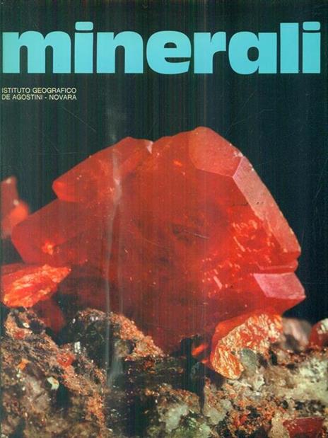 Minerali - Vincenzo De Michele - copertina