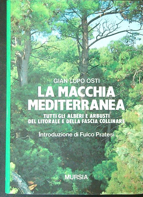 La questione ebraica
