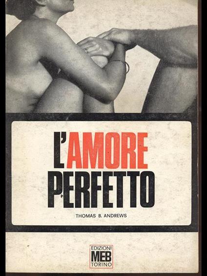 L' Amore perfetto - Thomas B. Andrews - copertina