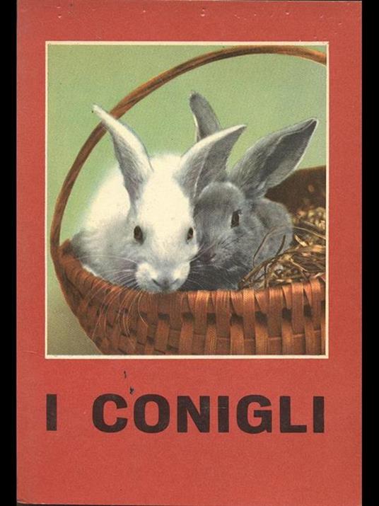 I conigli - copertina