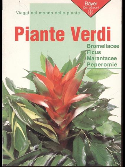 Piante verdi - Eliana Angiuli - copertina