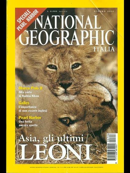 National Geographic Italia. Giugno 2001Vol. 7 N. 6 - copertina