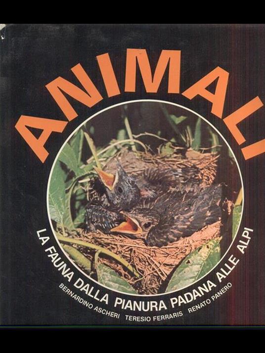 Animali. La fauna dalla pianura padana alle Alpi - Bernardino Ascheri,Teresio Ferraris,Renato Panero - 4