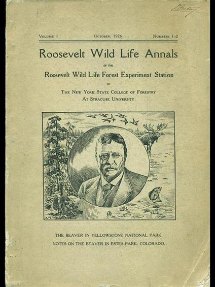 Beaver in Yellowstone and Estes parks - Warren - copertina