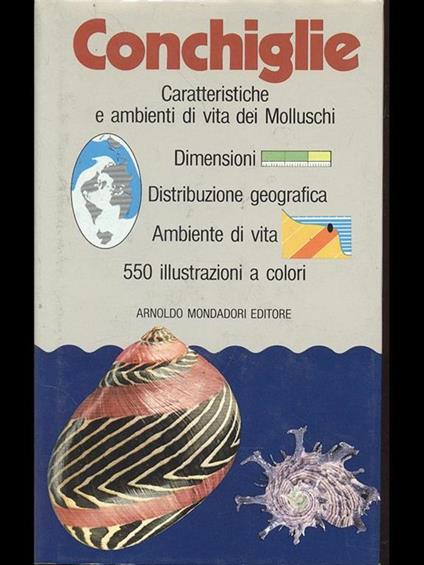 Conchiglie - Bruno Sabelli - copertina