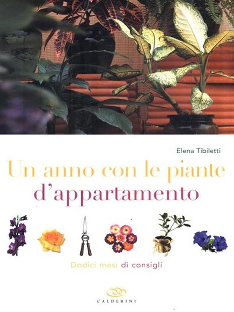 Un anno con le piante d'appartamento. Dodici mesi di consigli - Elena Tibiletti - copertina